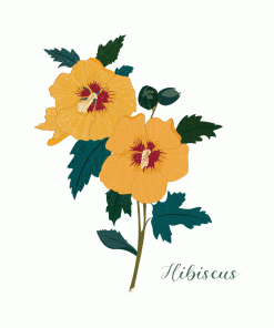 Carte d’art Aneleen « Hibiscus »