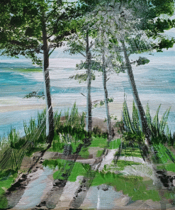 Carte d&rsquo;art Daniela Pinto « Petit Nice »