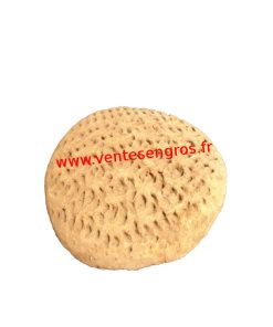 Disque de Gommage plat en terre cuite  (lot de 12 disques)