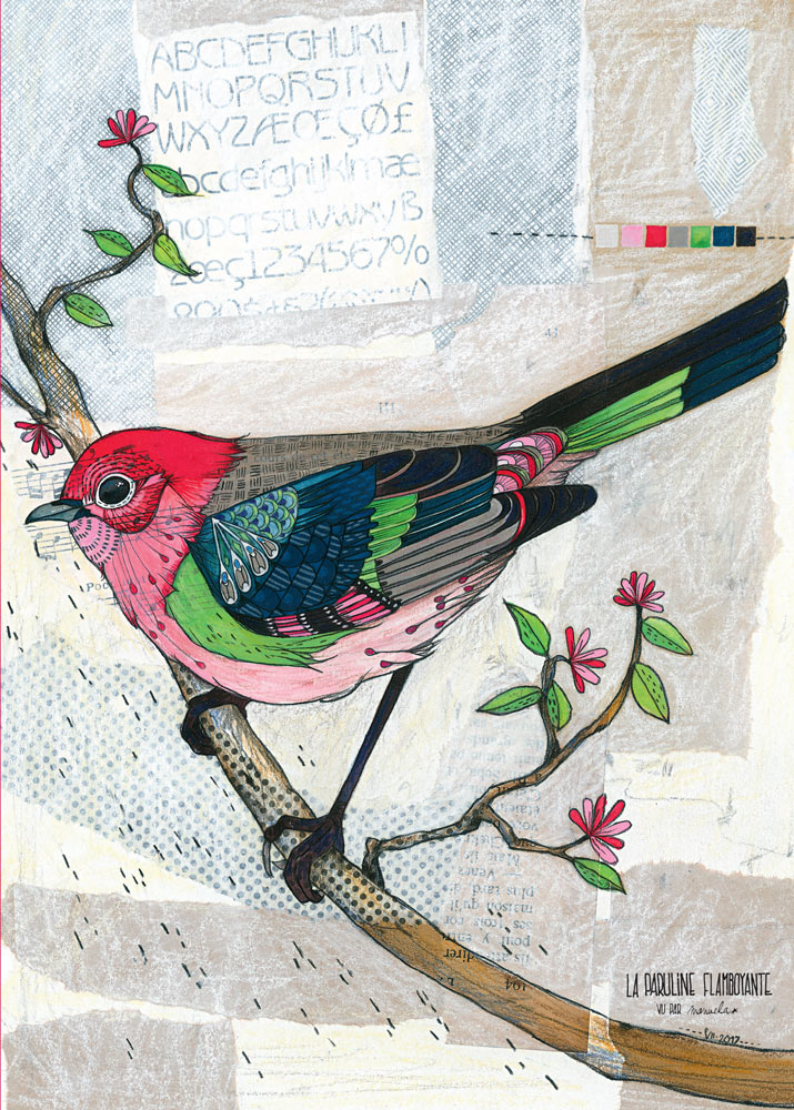 Carnet A6 Manuela Dupont « Paruline flamboyante »