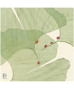 Carte d&rsquo;art Pépins « Coccinelles sur la tige Ginkgo »