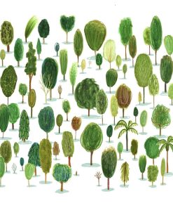 Carte d’art Katherine Quinn « Summer arboretum »