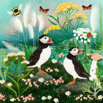 Carte d’art Katherine Quinn « Puffin »