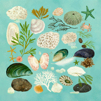 Magnet Katherine Quinn « Beach combing »
